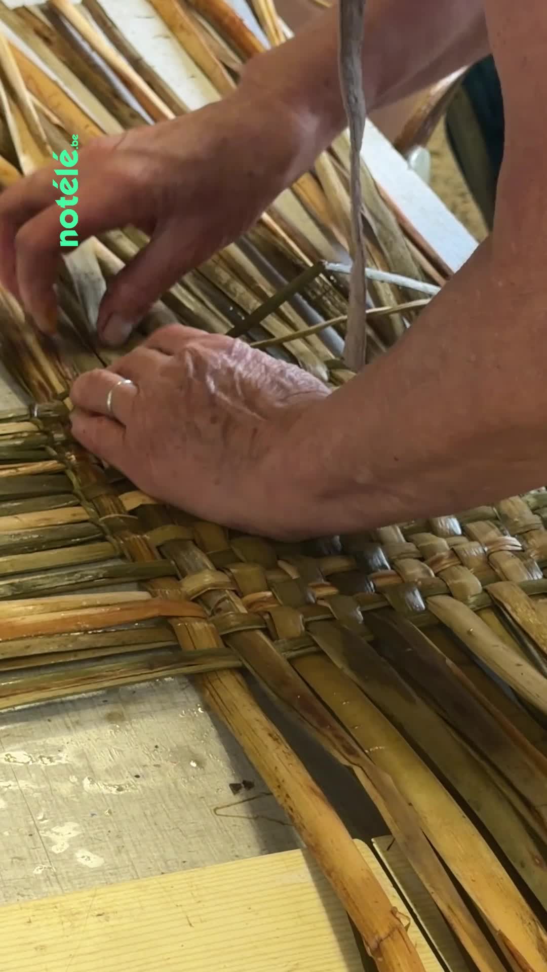 Paniers\u002c chapeaux ou sacs… À Frasnes-lez-Buissenal\u002c le festival de Vannerie laisse parler sa créativité en maniant l’art du tressage. 🧺