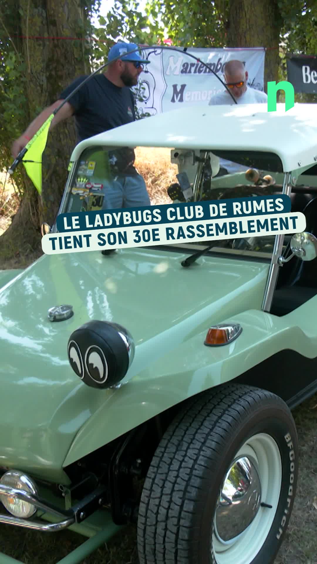 Rassemblement de véhicules VW à Rumes