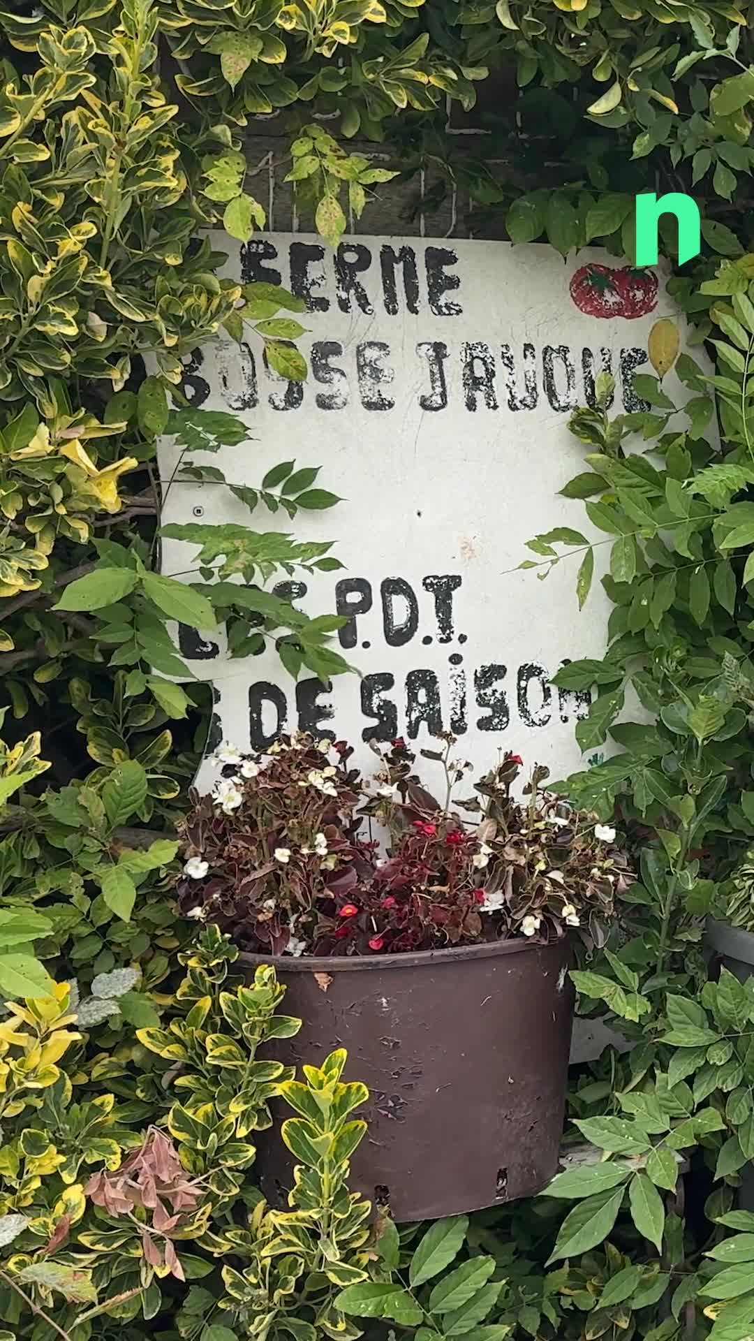 Boucle du Hainaut : à Gibecq\u002c la ferme de la bosse Jauque craint pour son avenir