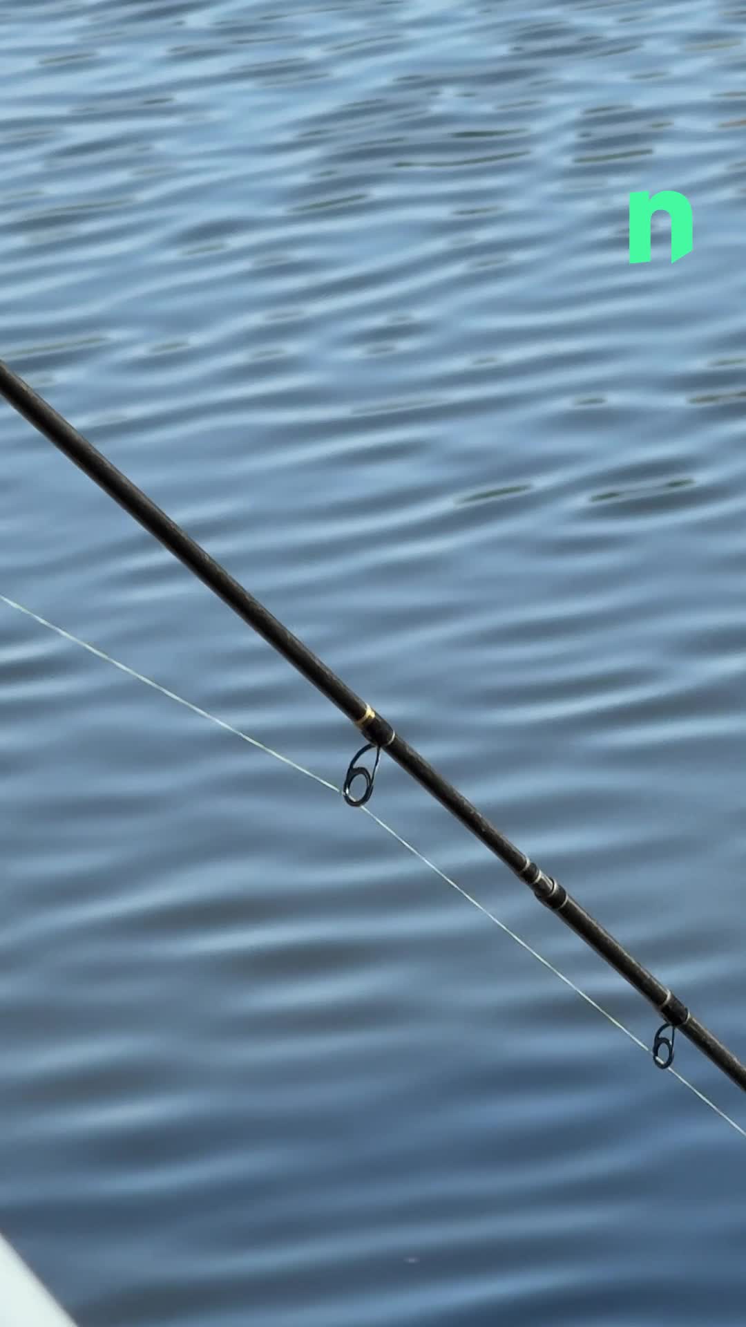 🐟 Vous les avez peut-être déjà vus sur les quais à Tournai\u002c des pêcheurs sont présents dans la Cité des Cinq Clochers pour le championnat belge de street-fishing 🎣