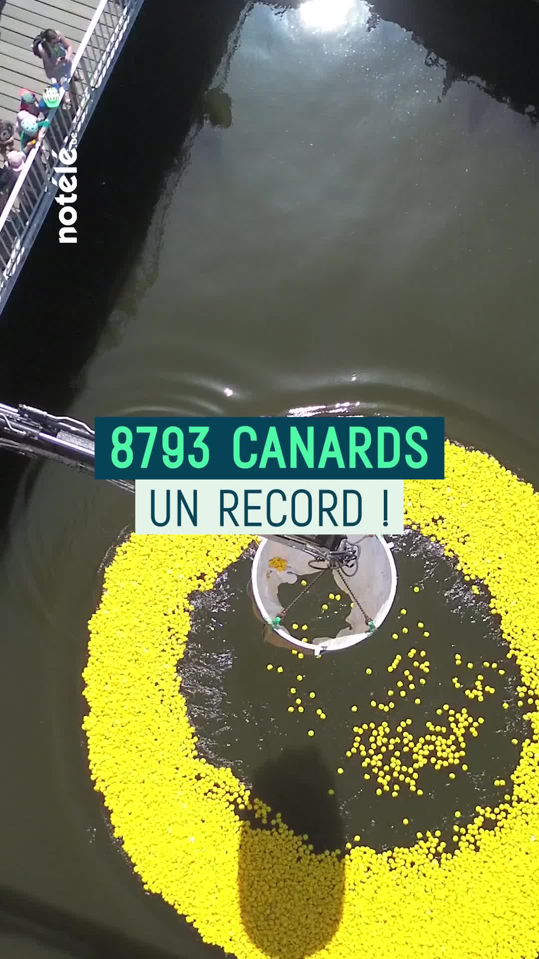 8793 canards ont envahi l’Escaut ce Lundi de Pentecôte à Tournai pour la bonne cause