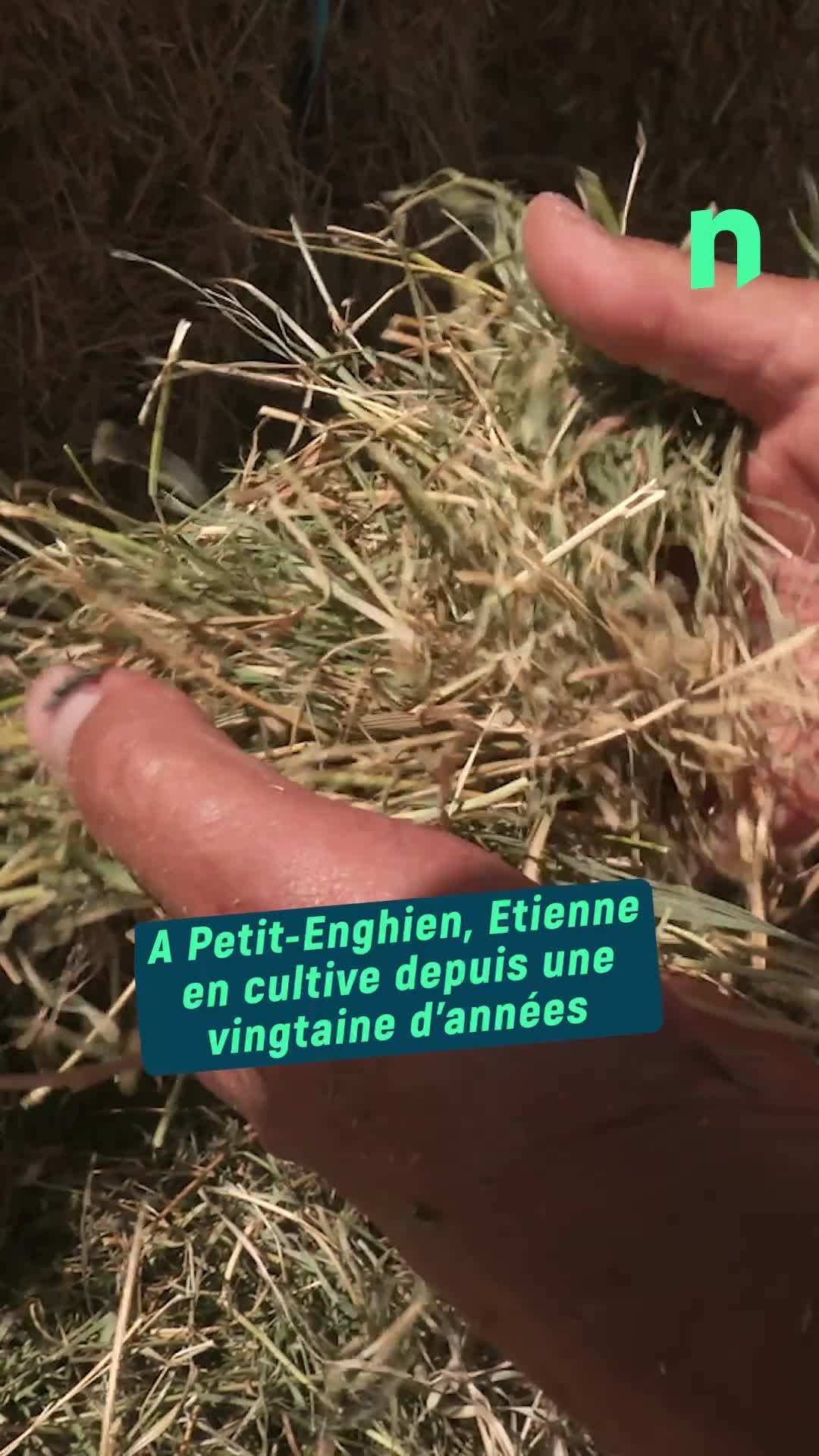Connaissez-vous la luzerne ?