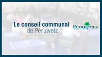 Le conseil communal de Péruwelz