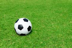 Le RMP jouera, pas le RFCT