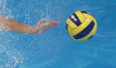 Les Dauphins mouscronnois filent déjà vers le titre
