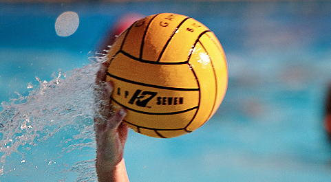 Les Dauphins confirment, le CNT se reprend