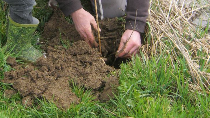 Plantez une nouvelle forêt à Ormeignies