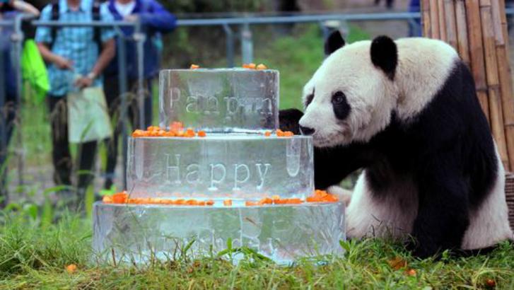 Le trisaïeul de Tian Bao est mort