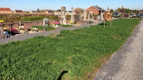 Un peu de nature au cimetière