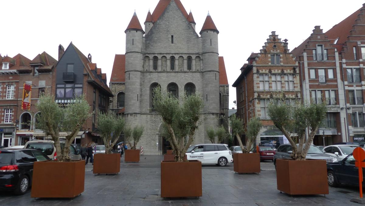 Des oliviers sur la Grand-Place