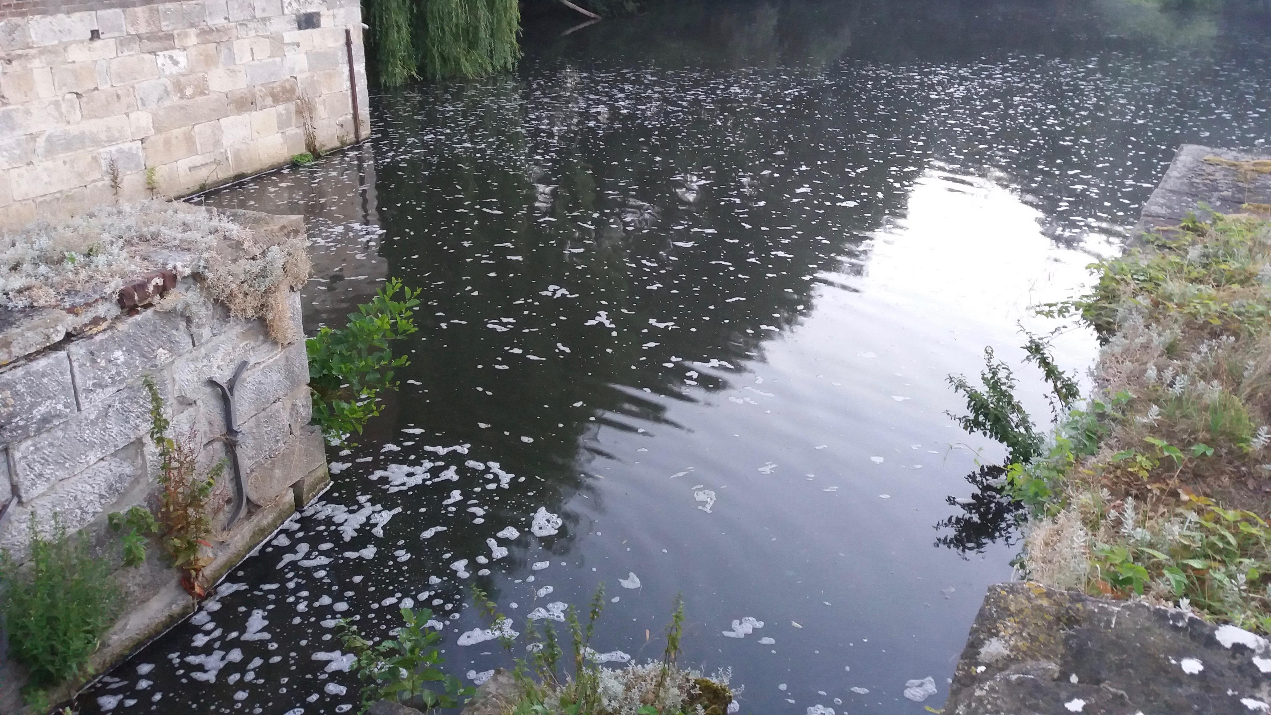 Signes de pollution sur la Dendre
