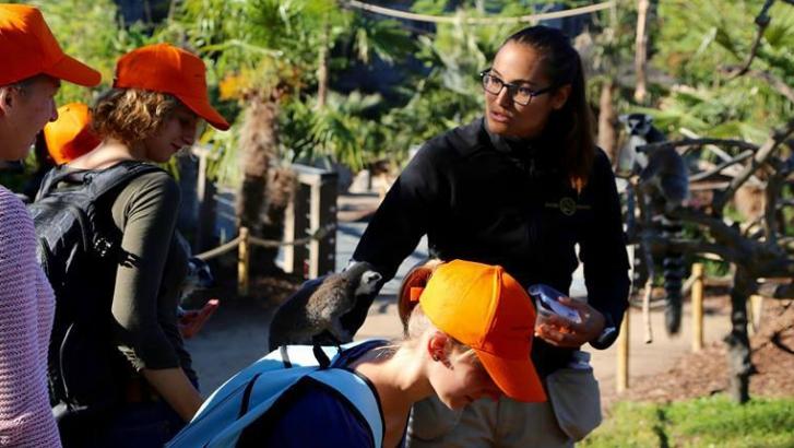 Géraldine, soigneuse de Pairi Daiza, décède d'une rupture d'anévrisme