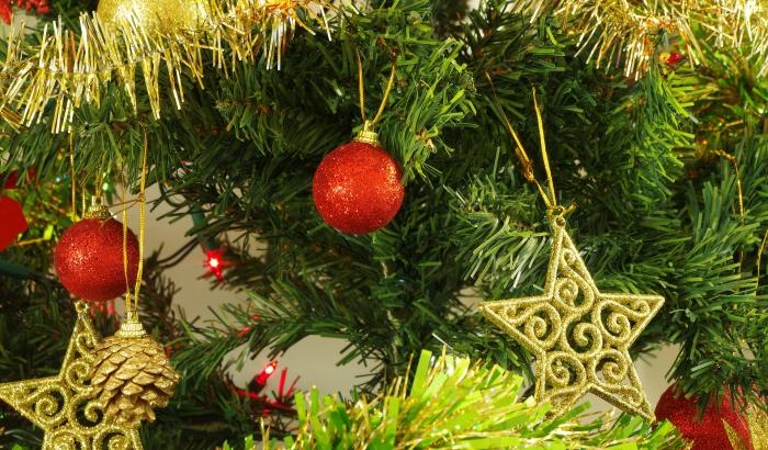 Votre sapin sur la Grand-place pour le marché de Noël