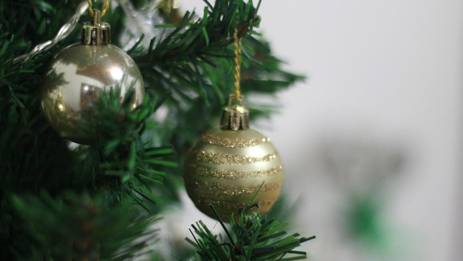 Olivier Abraham réitère l’action «un sapin de Noël pour tous»