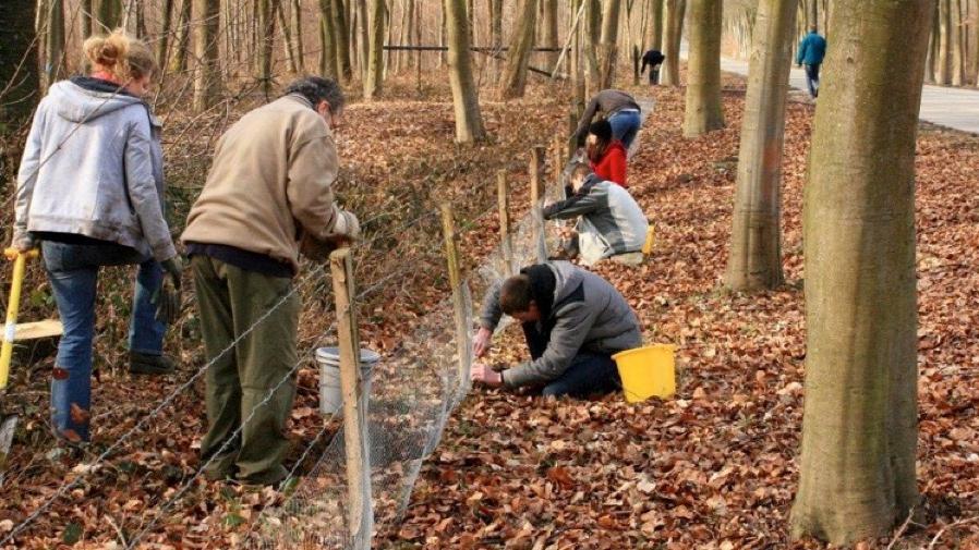 Appel aux bénévoles pour les opérations de sauvetage de batraciens 2018