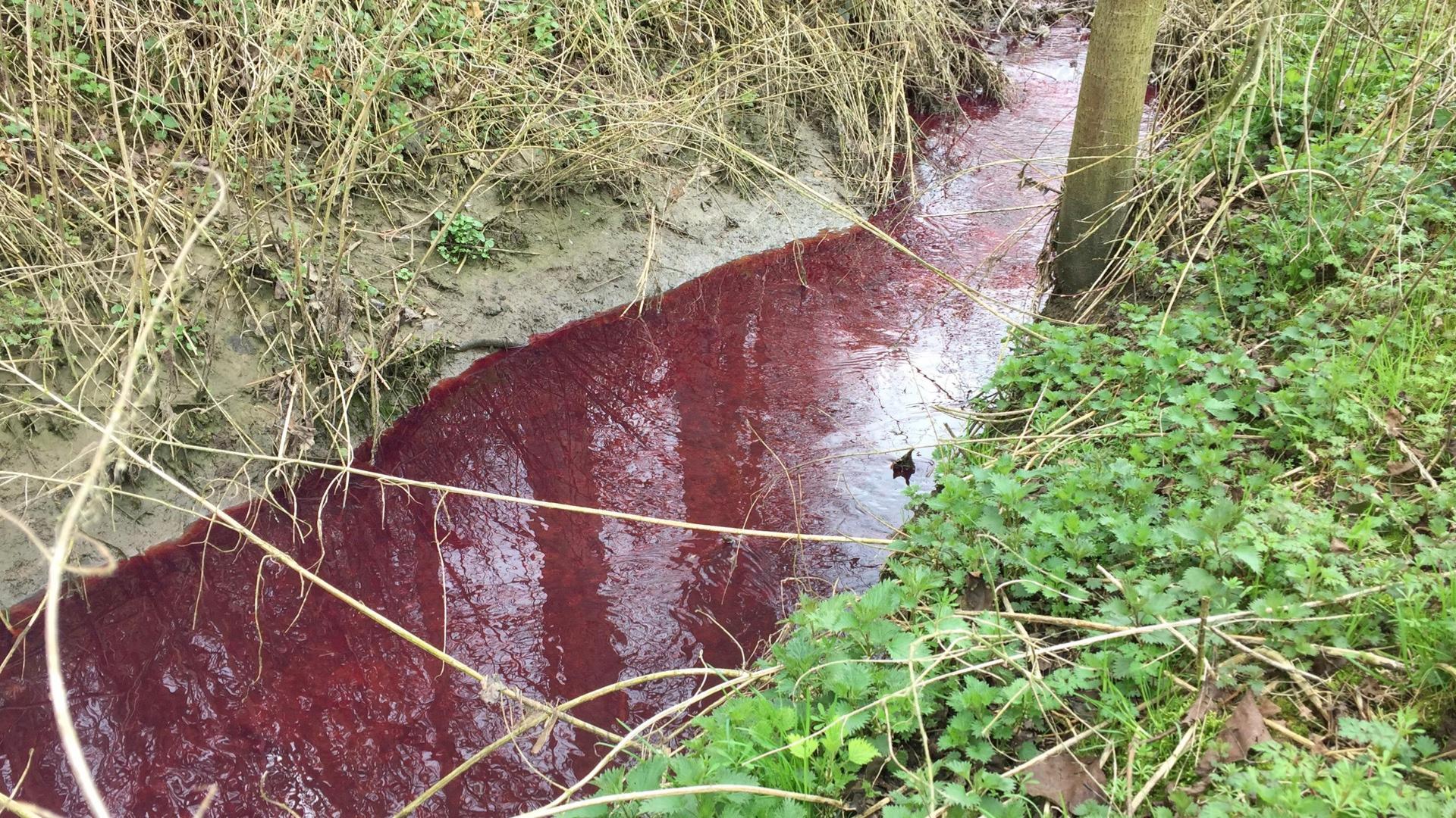 20.000 litres de mazout dans la nature 