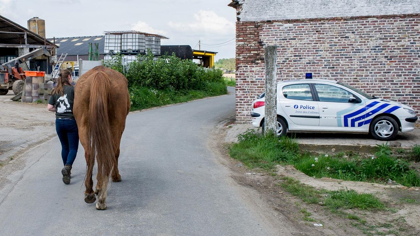 Maltraitance animale à Ogy: rencontre positive avec le bourgmestre