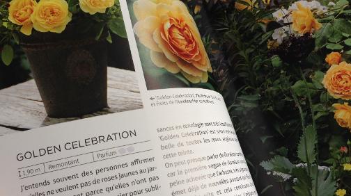Un livre et une conférence sur les roses