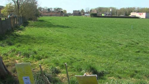 La phase 1 du projet d’urbanisation des Haleurs est sur les rails