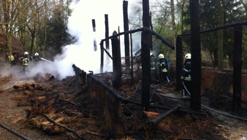 Incendie à l'Archéosite