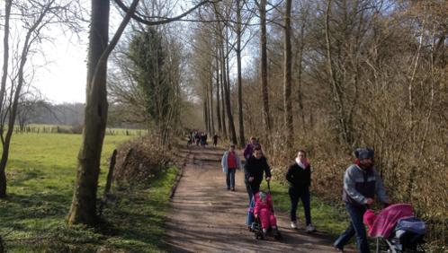 des milliers de personnes à la marche des jonquilles