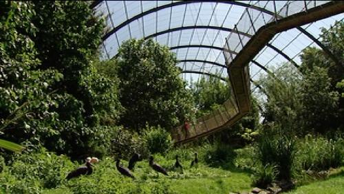 Marc Coucke investit dans Pairi Daiza