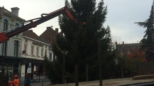 La sapin de Noël est arrivé