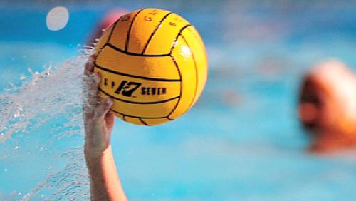 Les Dauphins en demi-finales de la Coupe