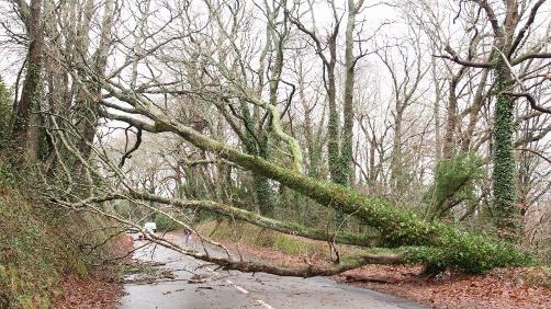 La tempête Ruzica fait peu de dégâts