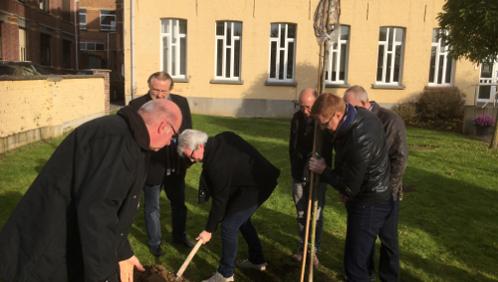 Plantons un arbre pour la Wapi