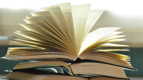 63 000 livres récoltés par Ipalle