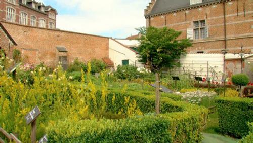 Résultat de recherche d'images pour "notre dame à la rose jardins"