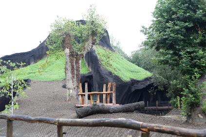 Ouverture du premier Volcan des Gorilles