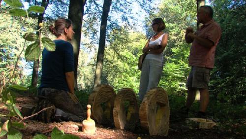 Un peu de fraîcheur dans les bois avec Sites en Ligne