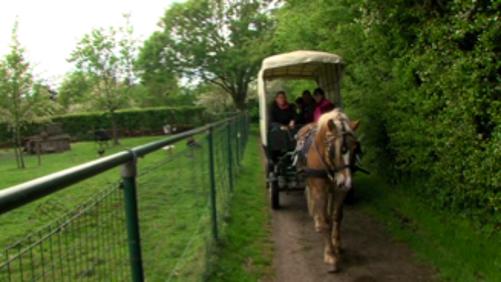 Un cheval fou traverse la foule à la fête du potiron