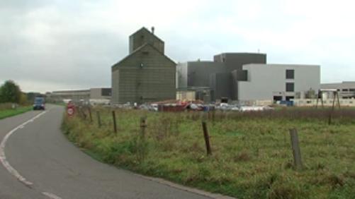 De vieux engins explosifs sur le site de Cosucra