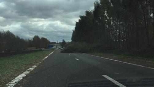 Un arbre couché sur l'autoroute A8