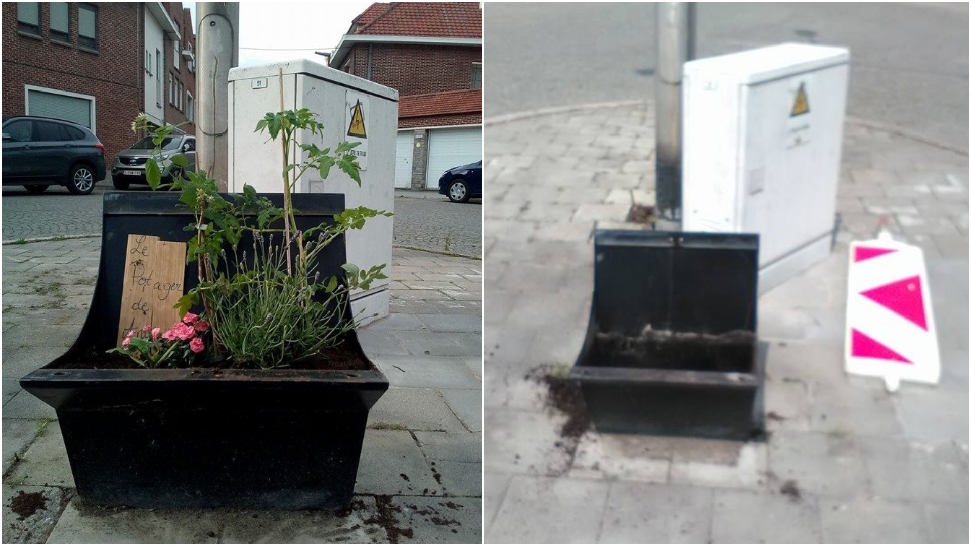 Un pied de banc communal transformé en potager… supprimé par la ville