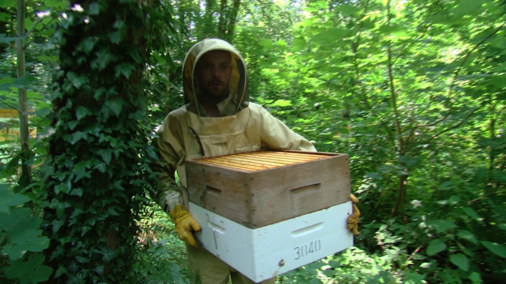 Délices & Tralala avec Tonton : du miel local du côté des "Rayons du  soleil" à Warchin