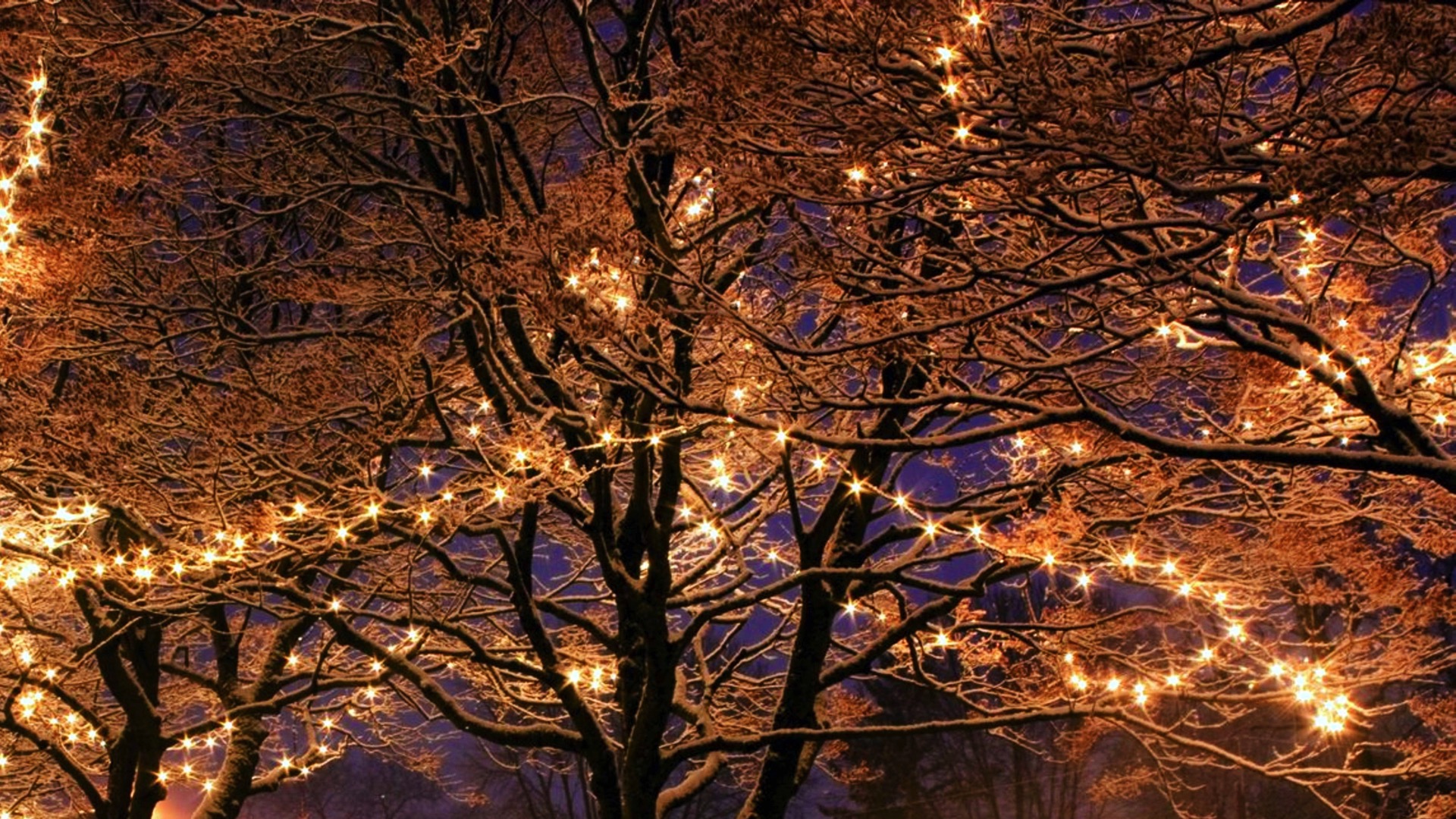 Beloeil : de nouvelles illuminations pour les fêtes de fin d'année
