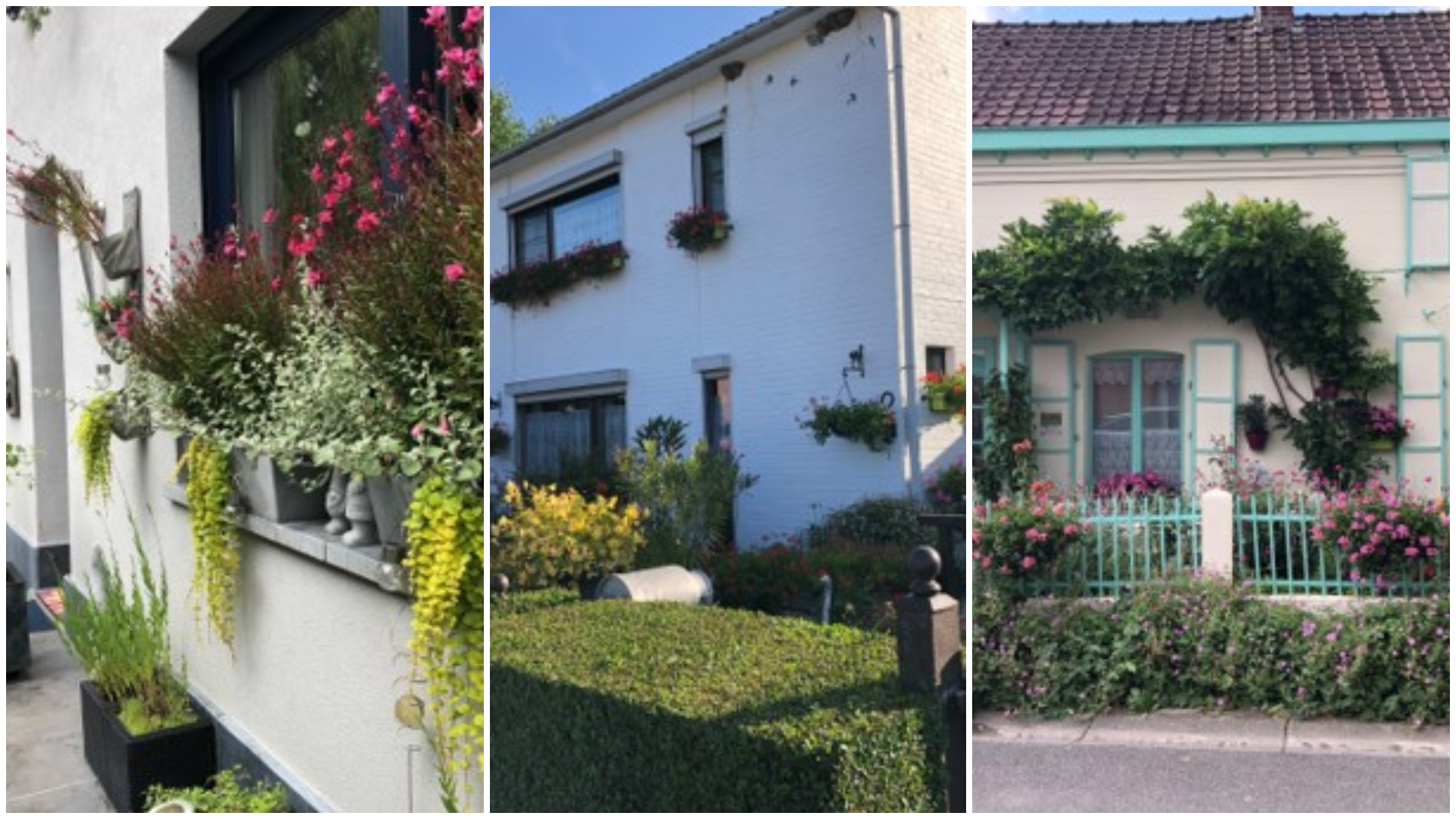 Les prix du concours « Brunehaut en fleurs » ont été remis