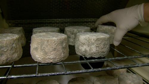 La Ferme des trente bouleaux et la fromagerie du Carah récompensées lors du concours des «Fromages de Chez Nous»