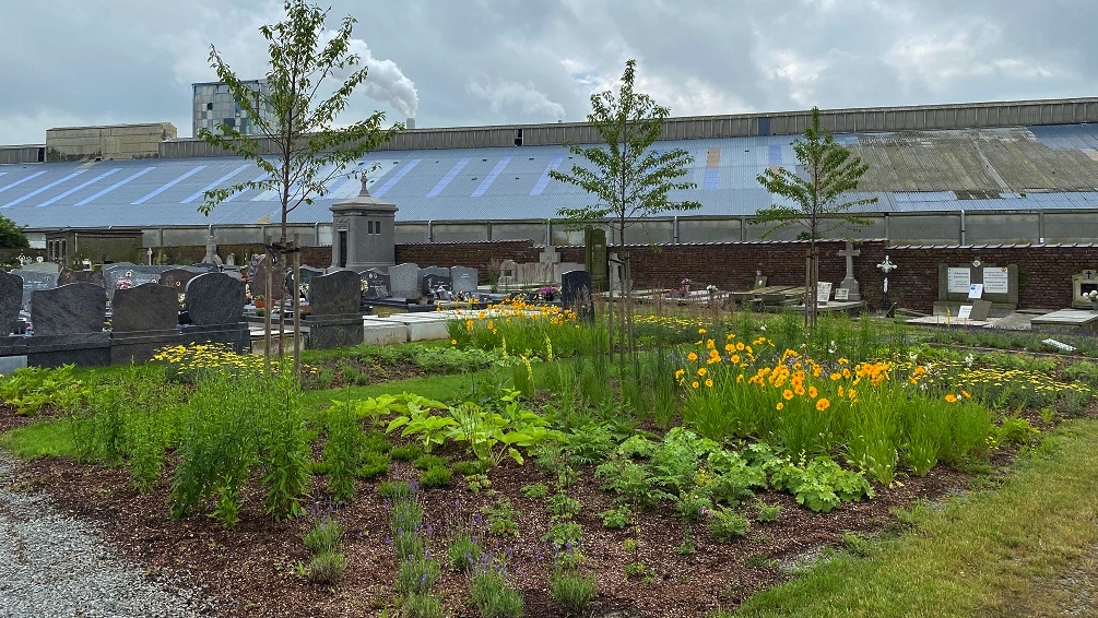 Concours «Wallonie en fleurs» : Chièvres labellisée, une deuxième fleur pour Frasnes et Mont-de-l'Enclus