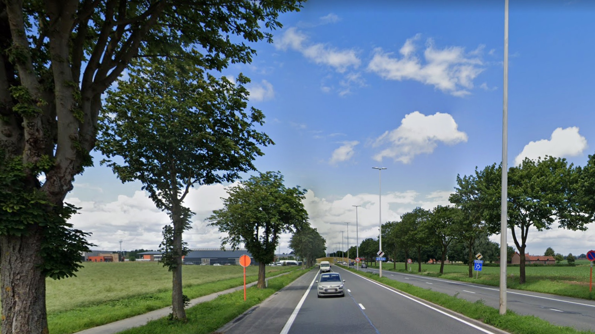 Mouscron : une vingtaine d'arbres représentant un risque vont être abattus