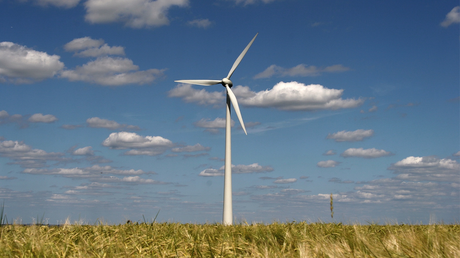Frasnes-lez-Anvaing :  nouvelle demande de permis pour le projet éolien d'EOLY Energy