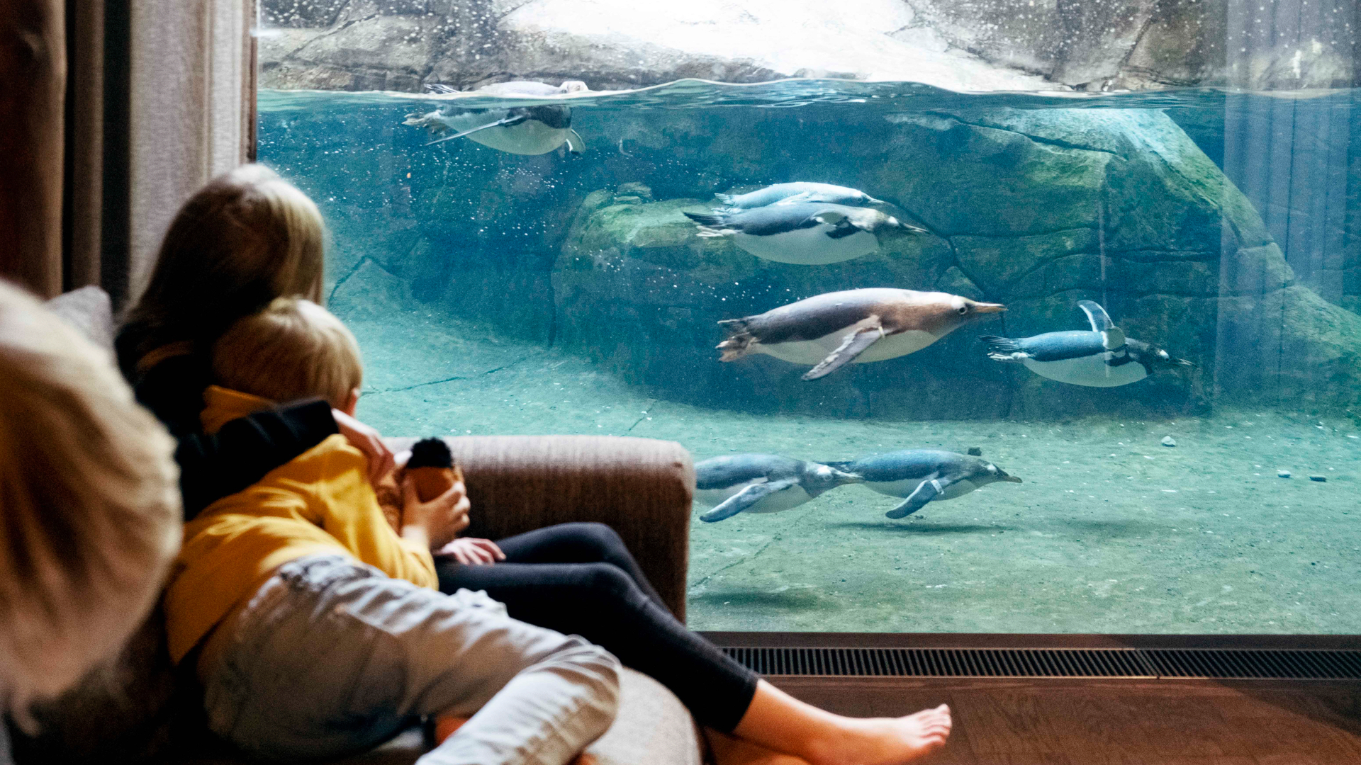 Le complexe d’hôtels de Pairi Daiza remporte le prix «Best New Hotel Concept 2022» pour la Belgique et les Pays-Bas