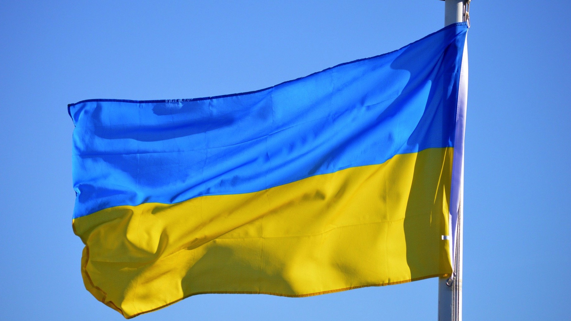 Crise ukrainienne: l'accueil des réfugiés dans les familles devient compliqué