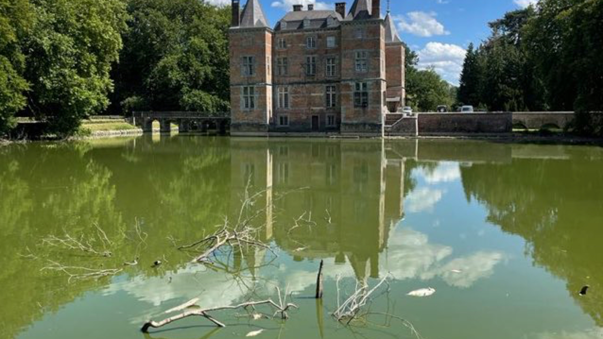 Triste spectacle au château d'Anvaing : des poissons morts apparaissent à la surface des douves