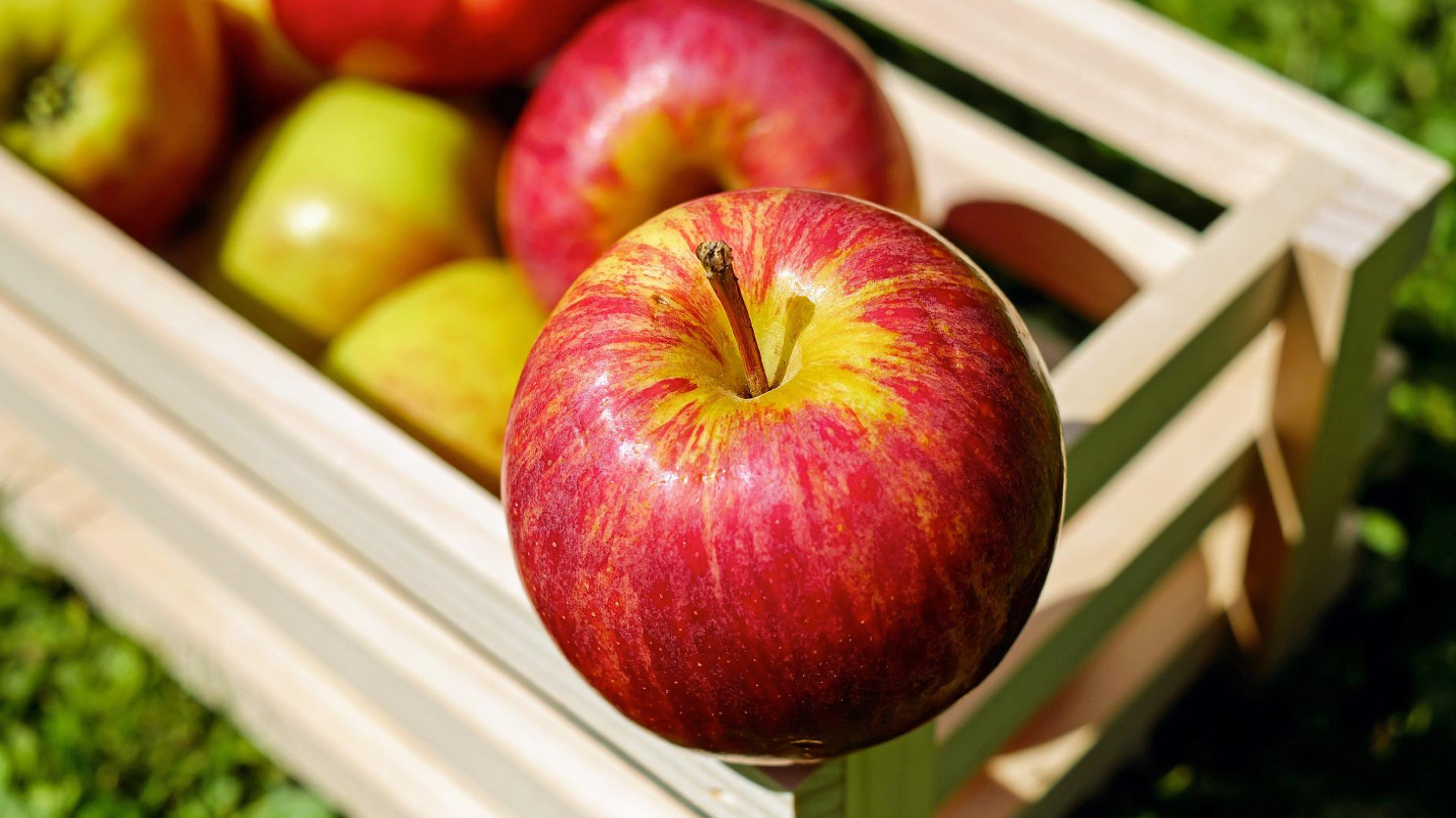 La Fête de la pomme de Rongy annulée