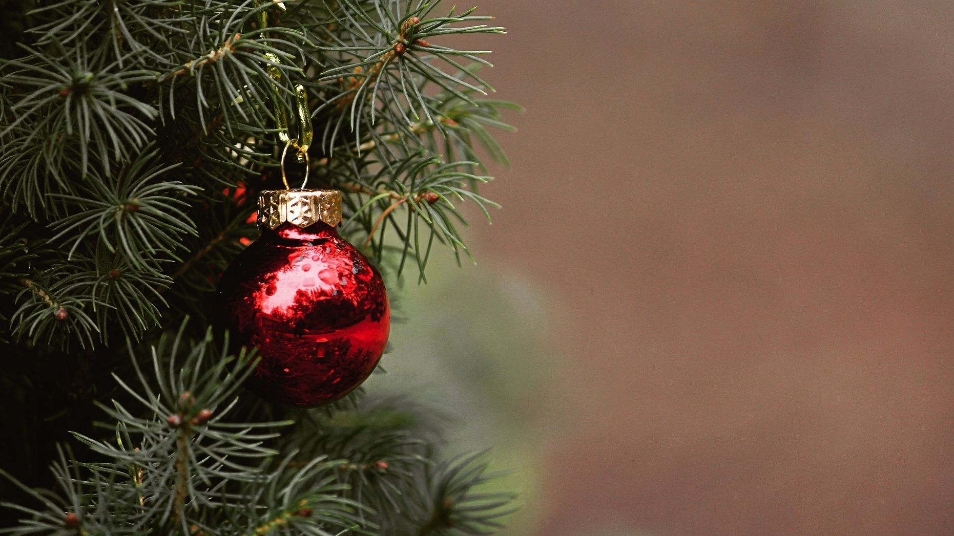 Ath : le sapin de Noël de la Grand-place n'est pas le bon